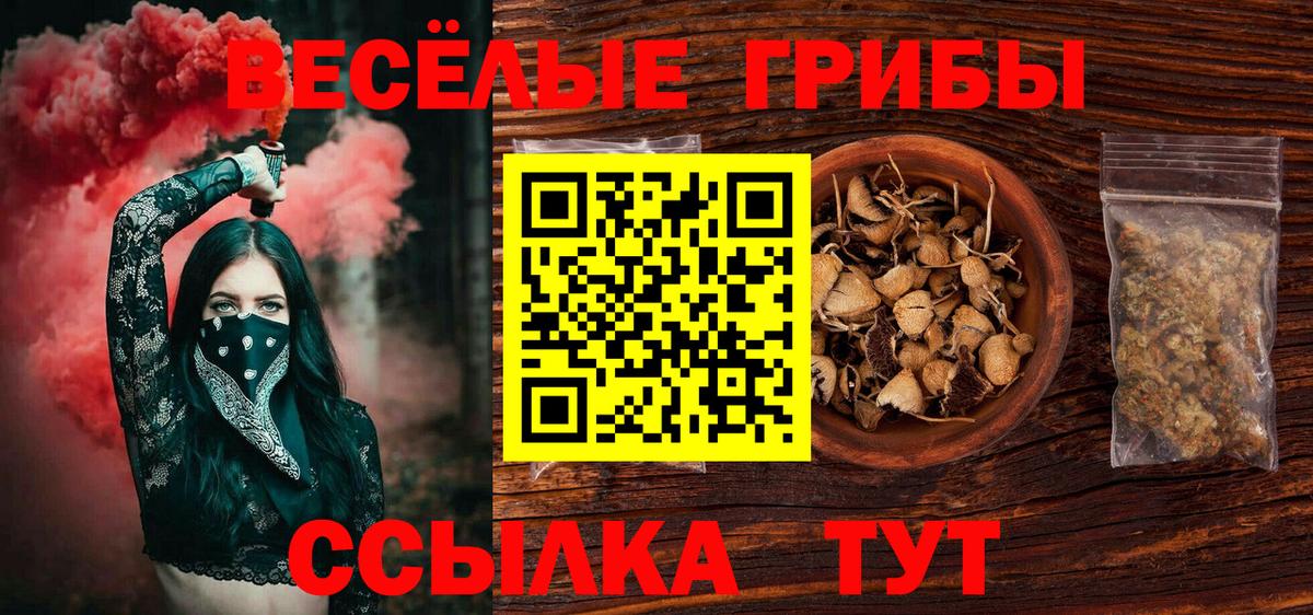 Псилоцибиновые грибы Magic Shrooms  Вход с VPN  Елабуга 