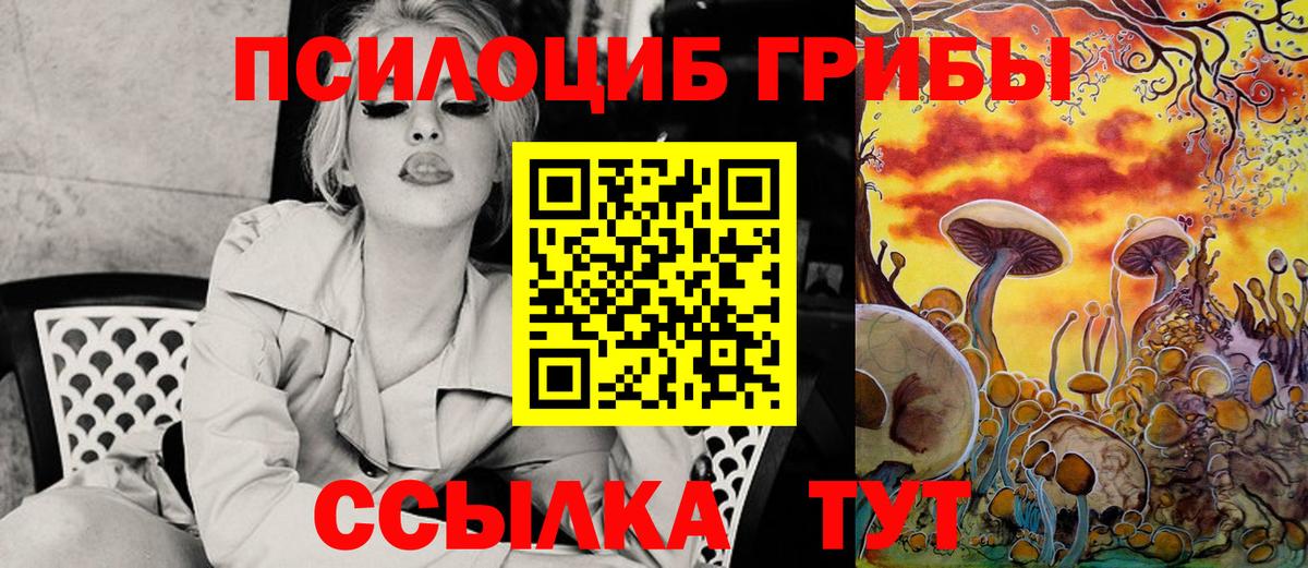 Псилоцибиновые грибы Psilocybine cubensis Елабуга